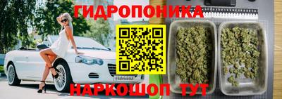 наркотики Лесосибирск