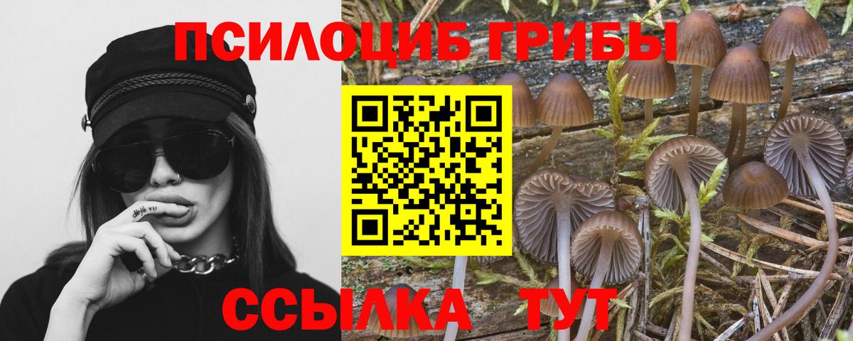 Камышин  Псилоцибиновые грибы ЛСД  купить закладку  Вход с VPN 
