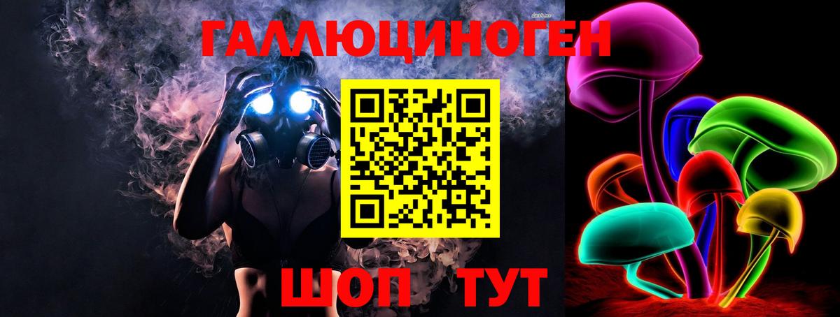 Галлюциногенные грибы Psilocybe Камышин